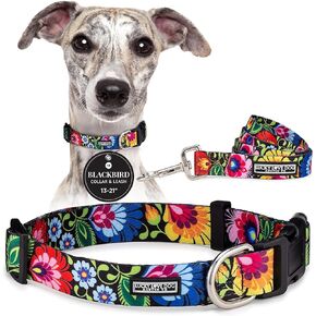 Lucky Love Dog - Adjustable Dog Collar with Easy Click Buckle for Small to Large Dogs, Durable, & Comfortable Collar for Male & Female Dogs, Pet Collar for Puppies & Adult Dogs - Blackbird, X-Small