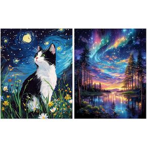 Obterie Starry Night Paint بواسطة أرقام أرقام للمبتدئين للمبتدئين