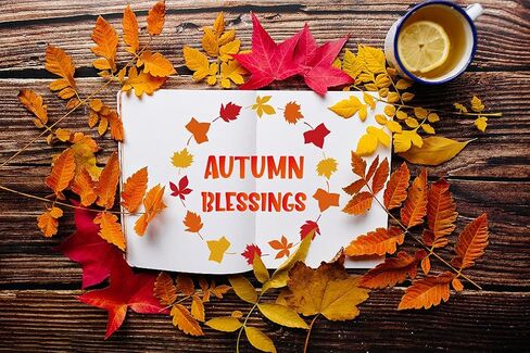 8Pcs Autumn Fall Painting Stencils Thanksgiving Drawing Templates Stencils Plastic Templates for DIY Art Craft Home Decor Maple Leaves Pumpkin Wreath Wheat Ears Scarecrow Stencils in Saudi Arabia