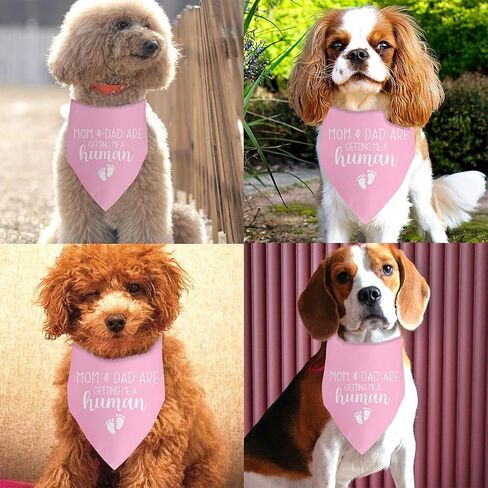 My Parents are Getting Me a Human Dog Pregnancy Announcement Bandana Gender Reveal Dog Bandana Pink Dog Bandana Baby Announcement Photo Puppy Bandana for Small Medium Cat Dogs in Saudi Arabia