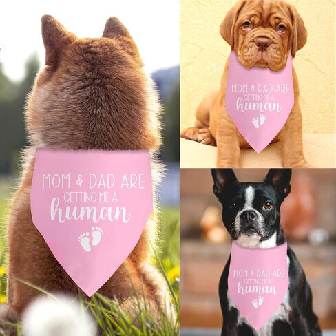 My Parents are Getting Me a Human Dog Pregnancy Announcement Bandana Gender Reveal Dog Bandana Pink Dog Bandana Baby Announcement Photo Puppy Bandana for Small Medium Cat Dogs in Saudi Arabia