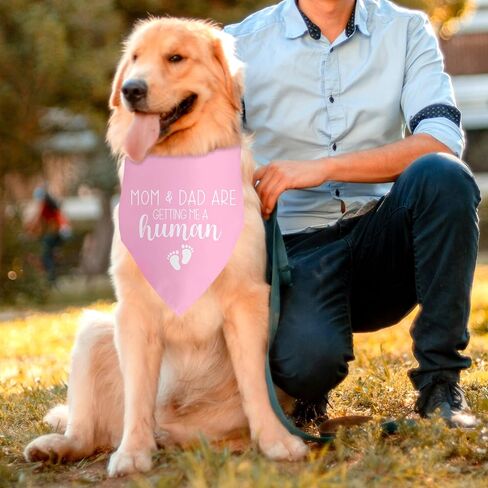 My Parents are Getting Me a Human Dog Pregnancy Announcement Bandana Gender Reveal Dog Bandana Pink Dog Bandana Baby Announcement Photo Puppy Bandana for Small Medium Cat Dogs in Saudi Arabia