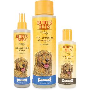 حزمة Burt's Bees Bundle حكة تهدئة - تشمل حكة طبيعية شامبو مهدئًا وخطًا مهدئًا مع هونيسوكلي ، وغسول الباو والأنف مع روزماري وزيت الزيتون - مصنوع في الولايات المتحدة الأمريكية