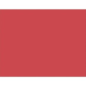 PACON® PAC54751 4-PLY RAILROAROR BOARD ، RED ، 22 "× 28" ، 25 ورقة
