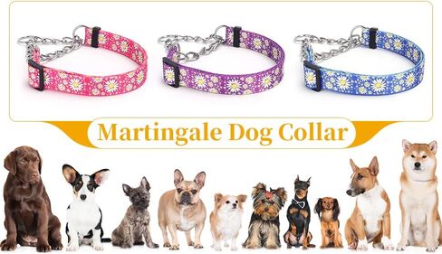 Martingale Dog Collar with Stainless Steel Chain - Cute Daisy Design Patterns Pet Collar for Large, Medium Dogs (Light Blue, Large) in Saudi Arabia