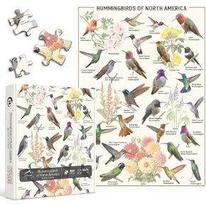 طائر الطائر الطنان 1000 قطعة للبالغين ، Pickforu Vintage Flower Garden Puzzle ، لغز حيوان فريد لمحبي الطيور ، لغز الفن الربيعي الصعبة