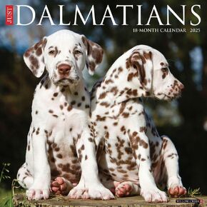 Willow Creek Press, Just Dalmatians 2025 Wall Calendar