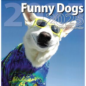 Bachmann Press 2025 Funny Dogs Full Size Wall Calendar for Planning, Scheduling, and Organizing
