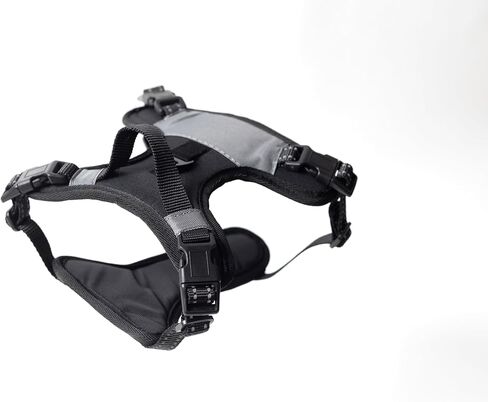 North Star Dog Harness ™ - مريحة وقابلة للتعديل بالكامل ، مصممة لتقليل السحب ، المقاومة للهروب ، متينة ، يربط بسهولة وأمان مع حامل السطح الجوي (الأسود/الأرجواني ، S) in Kuwait