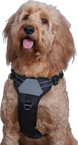 North Star Dog Harness ™ - مريحة وقابلة للتعديل بالكامل ، مصممة لتقليل السحب ، المقاومة للهروب ، متينة ، يربط بسهولة وأمان مع حامل السطح الجوي (الأسود/الأرجواني ، S) in Kuwait