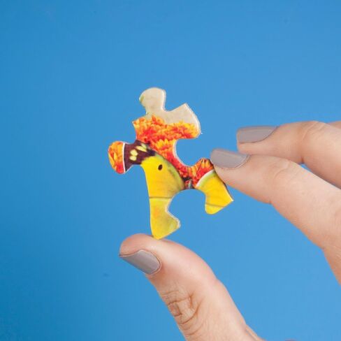 أجزاء وقطع-4-في 1-أحذية 1000 قطعة بقطات الألغاز للبالغين-مجموعة ألغاز gnomes'jigsaw المرحة من Makiko ، مكتمل حجم اللغز: 20 "× 27" in Saudi Arabia