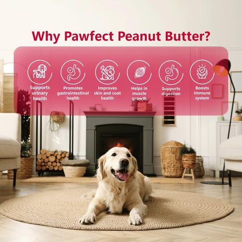 Peanut Butter for Dogs - 100% Natural | Supports Healthy Digestion | Food Toppers for Dogs | No Added Salt/Oil/Sugar | Perfect for Training & Rewards (9.70oz) (15.8oz, Blueberry) in Saudi Arabia