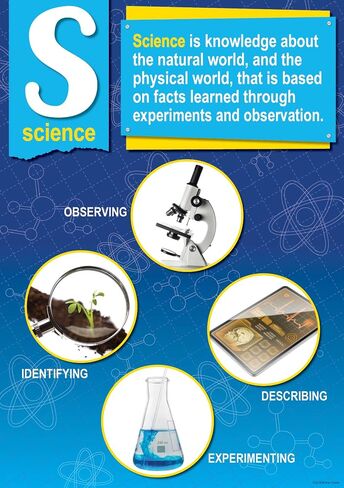 Barker Creek Poster Set of 9, STEM/STEAM with 21st Century 4-C Skills, 9 Posters Illustrating Key Components of a STEM/STEAM Education Plus Essential 4-C Skills, 13-3/8" x 19" (1889) in Saudi Arabia