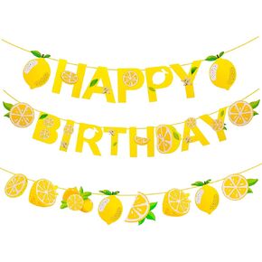ديكور لحفل الليمون ، لافتة عيد ميلاد سعيد للليمون لزخارف حفلة عيد ميلاد الليمون ، علامة عيد ميلاد سعيد للليمون لليمون partysupplies الليمون.