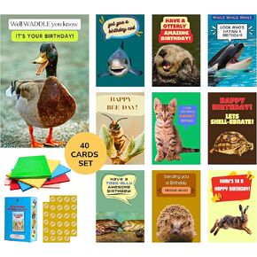 40 Pack Funny Punny Birthday Cards with Envelopes - 20 Unique Designs - Assorted Bulk Animal Birthday Cards for Kids, Office, Teacher - Greeting Cards Boxed Set (Medium, 4x6'', Blank Inside)