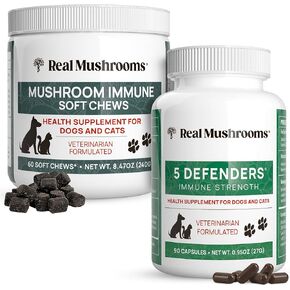 الفطر الحقيقي من المناعي للمضغ (60CT) و 5 مدافعين عن PET PET (90CT) - حزمة للقوة المناعية - Chaga ، Shiitake ، Reishi ، Turkey Tail ، Maitake ، Ashwagandha ، Astragalus & More - Vegan ، Non Gmo