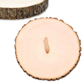 Wilson Basswood Round Shicay (X كبير 11-12 بوصة × 1 5/8 بوصة السميكة)