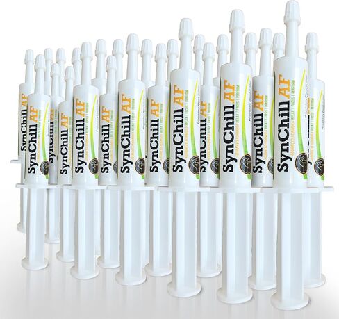 SynChill AF Calming Gel for Nervous Horses - Single Serving - Advanced Formula with L-Theanine, Increased Potency, 100% Natural Supplement, Disposition & Confidence Support for Horses - 3 Pack in Saudi Arabia