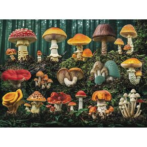 300 Pieces Mushroom Forest Jigsaw Puzzle for Adults,Colorful Botanical Plants,Large Piece Puzzle for Kids Teens Adults,Glossy Finish,Recycled Paper,Dust-free,Challenging&Fun Family Game (20.5 x 15 in)