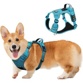 تسخير الكلب ، تم ترقية إثبات الهروب من السترة القابلة للتعديل جرو المشي الخارج in Kuwait