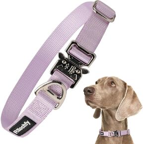 Rttochfy Premium Tactical Dog Collar ، مشبك معدني قابل للتعديل وسريع الإصدار ، طوق الكلاب الثقيلة للكلاب الصغيرة المتوسطة ، والكلاب ذات السلالات الكبيرة (الأرجواني ، م)