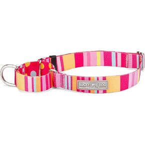 Lucky Love Dog, Colorful Stripes Martingale Dog Collar, Yellow, Pink, Blue Color No Slip Dog Collar - (Large, Molly Martingale)