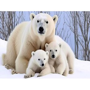 5D Diamond Paint Polar Bear ، Paint with Diamonds Diy Diamond Art Animals ، Diymood Painting by Truments kits Comple Drill Rhinestone for Home Wall Decor