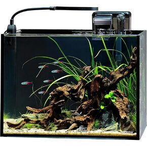 NICREW Nano Nature Aquarium Kit, 2.5 Gallon, Complete Version, Ultra-Clear Rimless Desktop Fish Tank with Filter, Light, Natural Gravel, River Rock and Starter Guide
