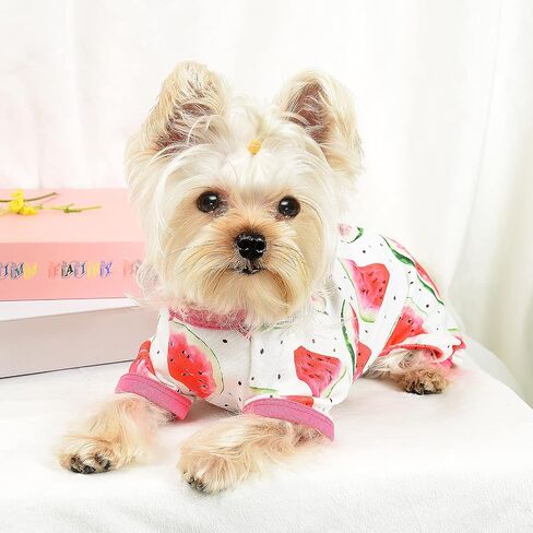 Dog Pajamas for Small Dogs Girl Boy Puppy Pjs Summer Pet Onesies for Chihuahua Yorkie Teacup Cute Soft Material Stretch Able Cat Clothes Outfit Apparel Doggy Jumpsuit (Small, Watermelon) in Saudi Arabia