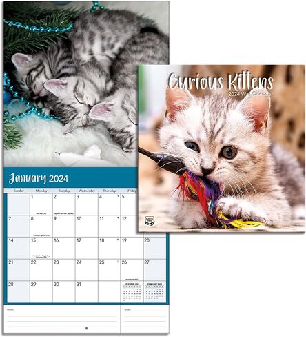Turner Photographic Curious Kittens Photo Mini Wall Calendar (24998950004) in Saudi Arabia