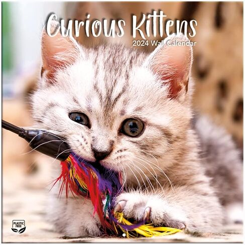 Turner Photographic Curious Kittens Photo Mini Wall Calendar (24998950004) in Saudi Arabia