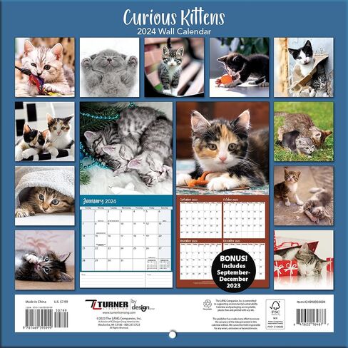 Turner Photographic Curious Kittens Photo Mini Wall Calendar (24998950004) in Saudi Arabia