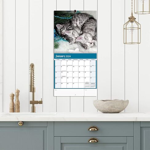 Turner Photographic Curious Kittens Photo Mini Wall Calendar (24998950004) in Saudi Arabia