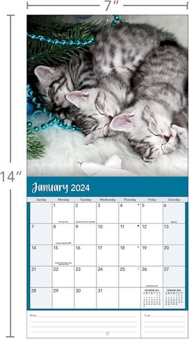 Turner Photographic Curious Kittens Photo Mini Wall Calendar (24998950004) in Saudi Arabia