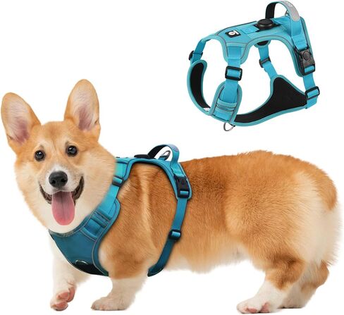 تسخير الكلب ، تم ترقية إثبات الهروب من السترة القابلة للتعديل جرو المشي الخارج in Kuwait