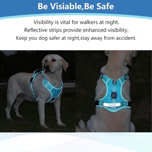 تسخير الكلب ، تم ترقية إثبات الهروب من السترة القابلة للتعديل جرو المشي الخارج in Kuwait