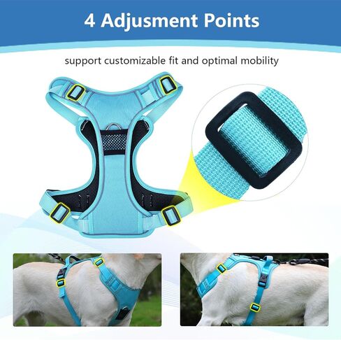 تسخير الكلب ، تم ترقية إثبات الهروب من السترة القابلة للتعديل جرو المشي الخارج in Kuwait