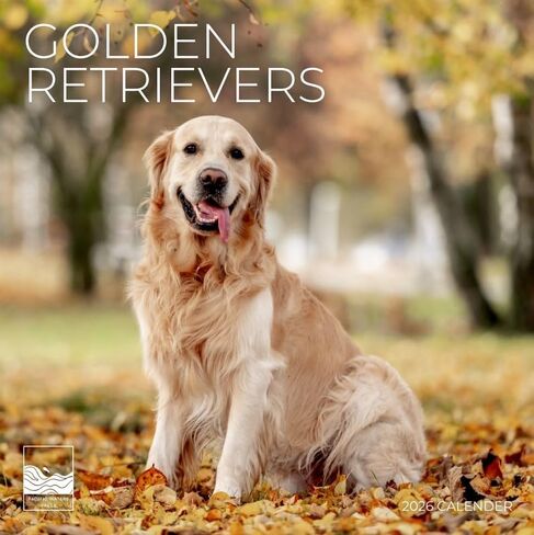 2026 Golden Retriever Wall Calendar 12 Month | 12" x 24" Open | Giftable | Dog Calendar 2026 | Thick & Sturdy Paper for Calendar Organizing & Planning | Pacific Waters Press (Golden Retriever) in Saudi Arabia