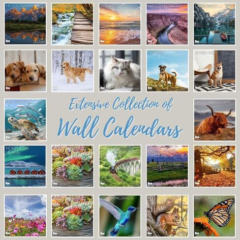 2026 Golden Retriever Wall Calendar 12 Month | 12" x 24" Open | Giftable | Dog Calendar 2026 | Thick & Sturdy Paper for Calendar Organizing & Planning | Pacific Waters Press (Golden Retriever) in Saudi Arabia