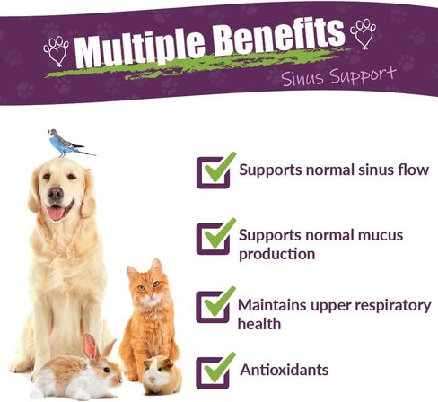 Amber NaturalZ Pet C&C Herbal Supplement for Dogs, Cats, Birds, Guinea Pigs, and Rabbits | Pet Herbal Supplement for Healthy Sinus | 1 Fluid Ounce Glass Bottle |Manufactured in The USA in Kuwait