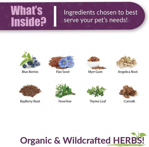Amber NaturalZ Pet C&C Herbal Supplement for Dogs, Cats, Birds, Guinea Pigs, and Rabbits | Pet Herbal Supplement for Healthy Sinus | 1 Fluid Ounce Glass Bottle |Manufactured in The USA in Kuwait