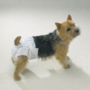 Pet Disposable Doggie Diaper, Medium
