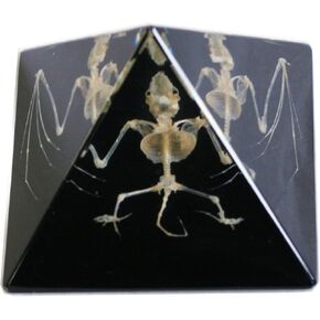 REALBUG Bat Skeleton Pyramid