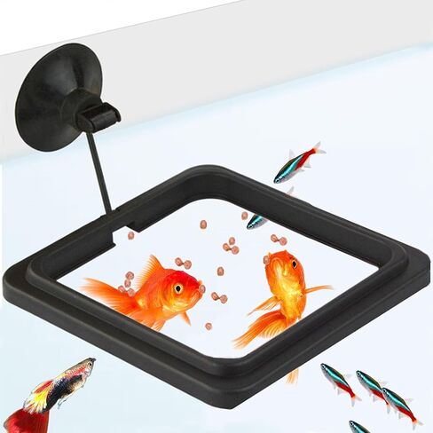 SunGrow Fish Food Feeding Ring, Stop Water Turbulence from Washing Food & Floating Plants into Filter, Suitable for Flakes & Floating Fish Pellets, for Goldfish, Guppy, Neon Tetra, Betta, 1 Piece in Kuwait