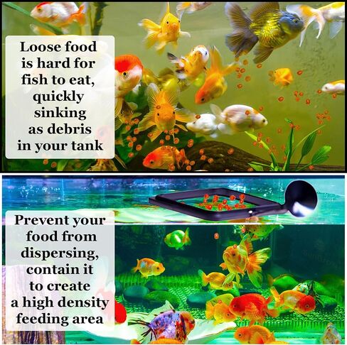 SunGrow Fish Food Feeding Ring, Stop Water Turbulence from Washing Food & Floating Plants into Filter, Suitable for Flakes & Floating Fish Pellets, for Goldfish, Guppy, Neon Tetra, Betta, 1 Piece in Kuwait