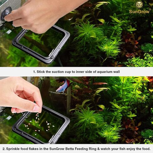 SunGrow Fish Food Feeding Ring, Stop Water Turbulence from Washing Food & Floating Plants into Filter, Suitable for Flakes & Floating Fish Pellets, for Goldfish, Guppy, Neon Tetra, Betta, 1 Piece in Kuwait