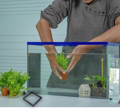 SunGrow Fish Food Feeding Ring, Stop Water Turbulence from Washing Food & Floating Plants into Filter, Suitable for Flakes & Floating Fish Pellets, for Goldfish, Guppy, Neon Tetra, Betta, 1 Piece in Kuwait