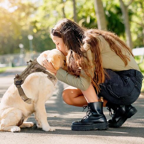 Dog Harness, Mesh Design Dog Harness, Breathable No Pull Dog Vest, for Hiking, for Small Medium Large Dogs, Camouflage, Large in Saudi Arabia