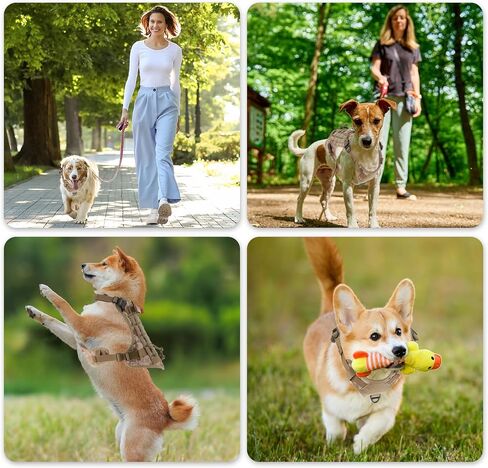 Dog Harness, Mesh Design Dog Harness, Breathable No Pull Dog Vest, for Hiking, for Small Medium Large Dogs, Camouflage, Large in Saudi Arabia