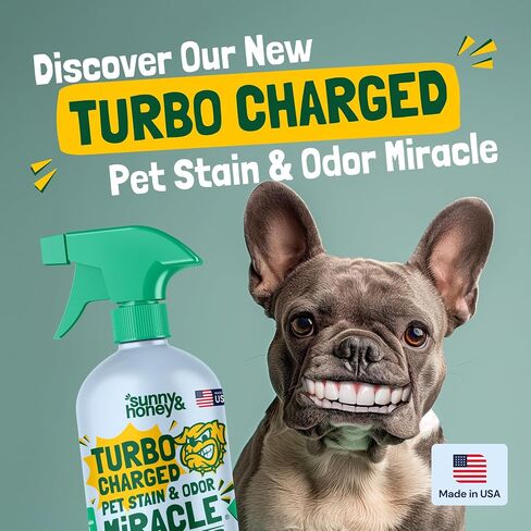 Sunny & Honey Pet Stain & Odor Miracle - Enzyme Cleaner for Dog Urine & Cat Pee - Pet Odor Eliminator for Carpet, Mattress, and Furniture (32 Fl Oz (Pack of 1), Light Lavender Scent) in Kuwait